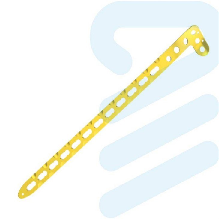 Proximal Lateral Tibial Plate