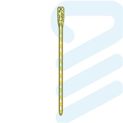 ہومرس لاکنگ پلیٹ