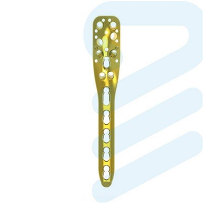 LCP قریب ہیمرس پلیٹ