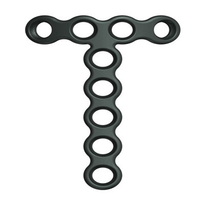 t شکل میکسیلوفیسیل پلیٹ